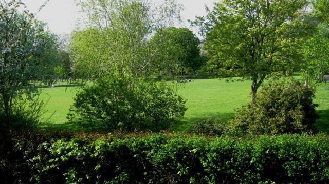 Woodbine City Rooms Exeter Zewnętrze zdjęcie