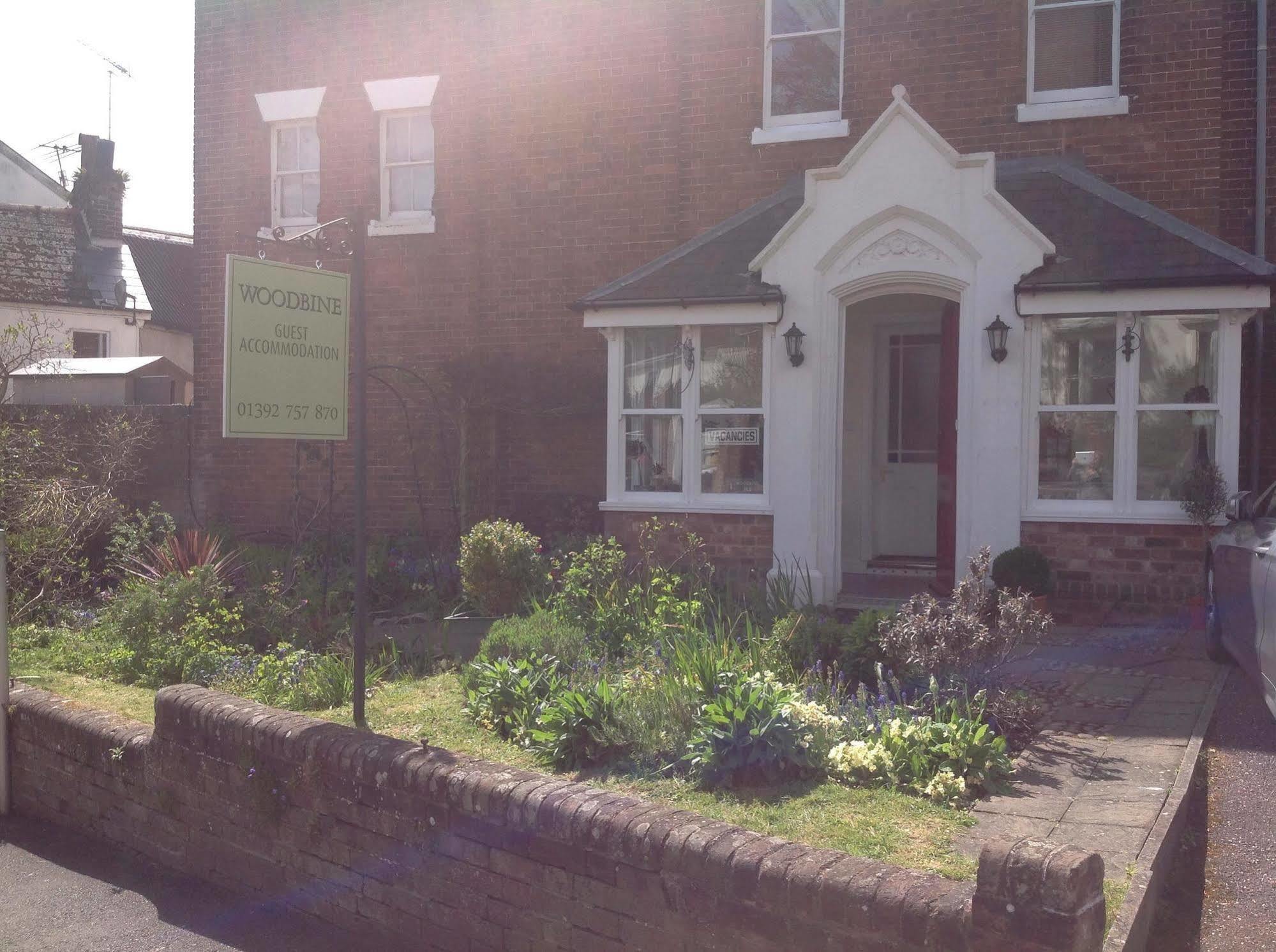 Woodbine City Rooms Exeter Zewnętrze zdjęcie
