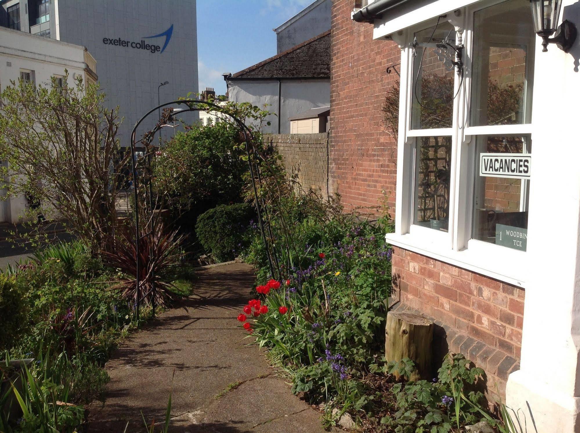 Woodbine City Rooms Exeter Zewnętrze zdjęcie