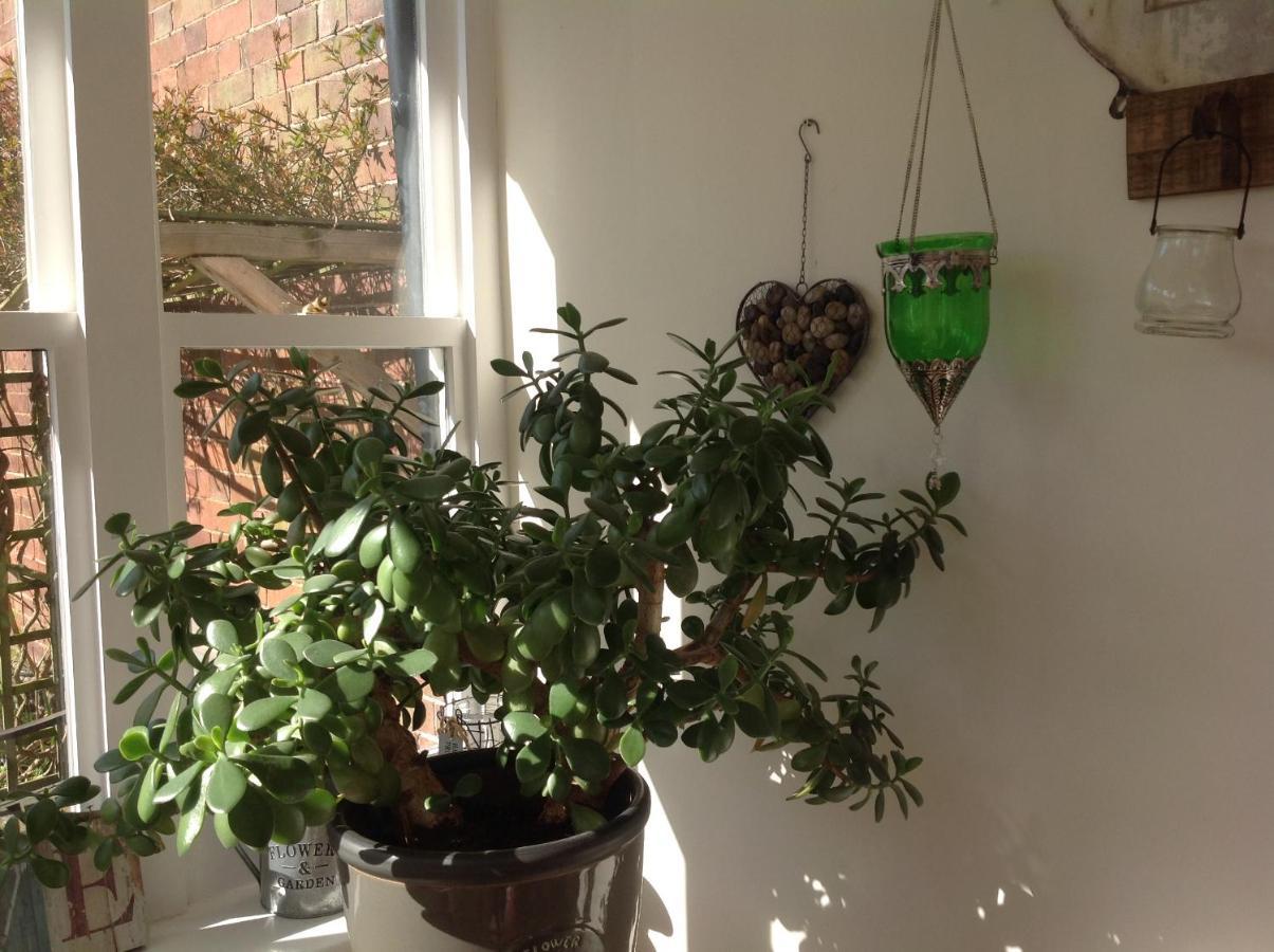 Woodbine City Rooms Exeter Zewnętrze zdjęcie